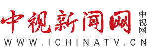 中视网